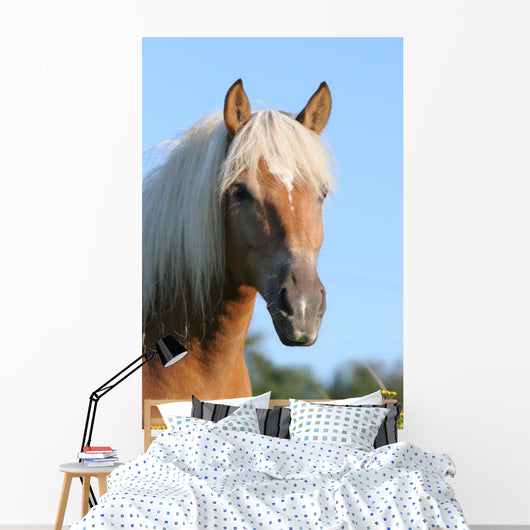 Pferd Haflinger Wall Decal