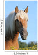 Pferd Haflinger Wall Decal