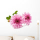 Beautiful Chrysanthemum Wall Decal