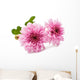 Beautiful Chrysanthemum Wall Decal
