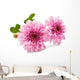 Beautiful Chrysanthemum Wall Decal