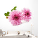 Beautiful Chrysanthemum Wall Decal