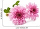 Beautiful Chrysanthemum Wall Decal
