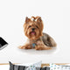 Yorkie Puppy Dog Wall Decal