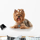 Yorkie Puppy Dog Wall Decal