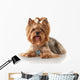 Yorkie Puppy Dog Wall Decal