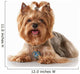 Yorkie Puppy Dog Wall Decal