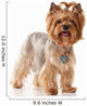Dog Yorkie Puppy Wall Decal