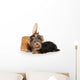 Yorkie Puppy Dog Wall Decal