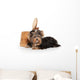 Yorkie Puppy Dog Wall Decal