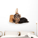 Yorkie Puppy Dog Wall Decal