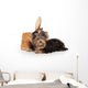 Yorkie Puppy Dog Wall Decal