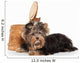 Yorkie Puppy Dog Wall Decal