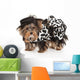 Fashionable Yorkie Puppy Wall Decal