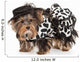 Fashionable Yorkie Puppy Wall Decal