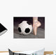 Soccer and Ballet Shoe Wall Mural