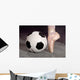 Soccer and Ballet Shoe Wall Mural