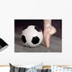 Soccer and Ballet Shoe Wall Mural