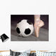 Soccer and Ballet Shoe Wall Mural