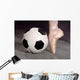 Soccer and Ballet Shoe Wall Mural