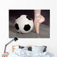 Soccer and Ballet Shoe Wall Mural