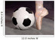 Soccer and Ballet Shoe Wall Mural
