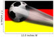 soccer german flag Wall Mural