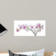 light color orchid flower in pink spots on white Wall Decal