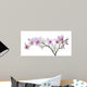 light color orchid flower in pink spots on white Wall Decal