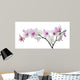 light color orchid flower in pink spots on white Wall Decal