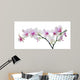 light color orchid flower in pink spots on white Wall Decal