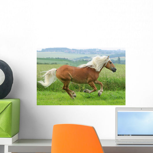 Horse - Galloping Wall Mural