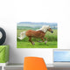Horse - Galloping Wall Mural