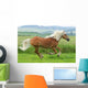 Horse - Galloping Wall Mural