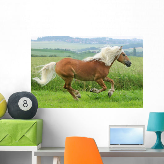 Horse - Galloping Wall Mural