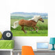 Horse - Galloping Wall Mural