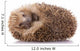 Hedgehog (erinaceus Albiventris) Sleeping, Isolated on White Bac Wall Decal