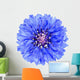 Blue Cornflower Flower Wall Decal