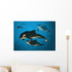 Orca Family Wall Mural