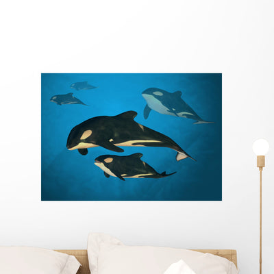 Orca Family Wall Decal shown on a wall