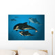 Orca Family Wall Mural