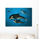 Orca Family Wall Mural