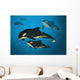Orca Family Wall Mural