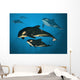 Orca Family Wall Mural