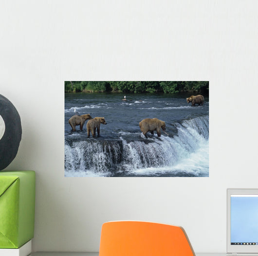 Female grizzly with her cubs at waterfall,big male approaching. Wall Mural