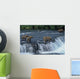 Female grizzly with her cubs at waterfall,big male approaching. Wall Mural