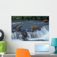 Female grizzly with her cubs at waterfall,big male approaching. Wall Mural