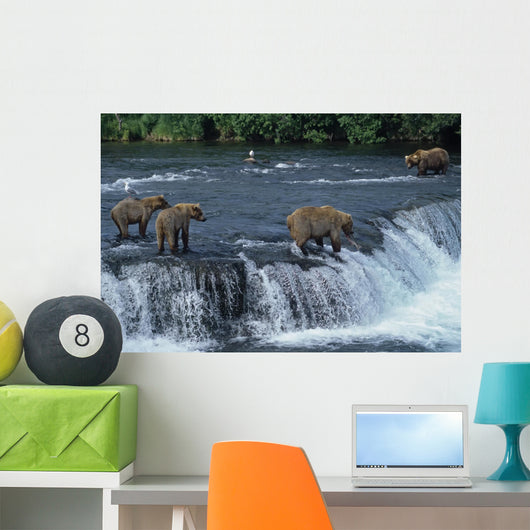 Female grizzly with her cubs at waterfall,big male approaching. Wall Mural
