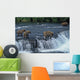 Female grizzly with her cubs at waterfall,big male approaching. Wall Mural