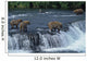 Female grizzly with her cubs at waterfall,big male approaching. Wall Mural